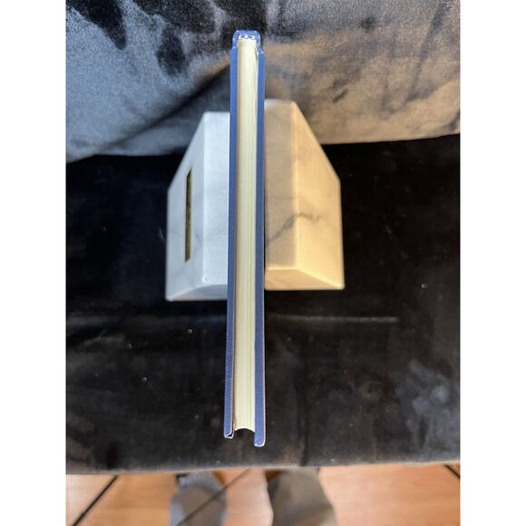 Straying Sunbeams by Melba Bandy Masters Published in 1985 Hardback - Picture 11 of 12